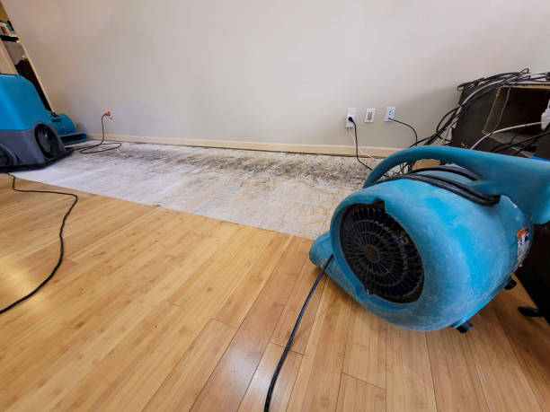 Professional Emergency Water Damage technician working in Sunbury, PA